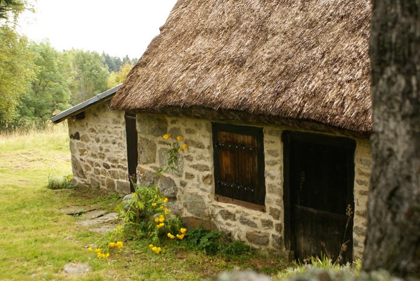 Puy de Dôme (63) : Patrimoine des Maisons Anciennes