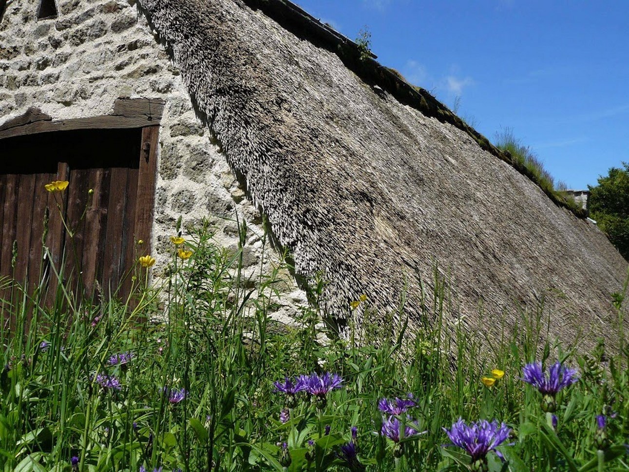 Puy de Dôme (63): Patrimoine des Maisons Anciennes