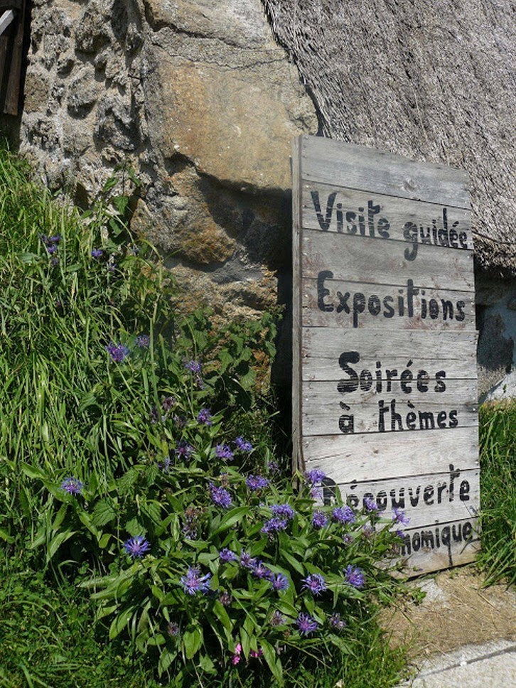 Puy de Dôme (63): Soirées Thématiques et Expositions