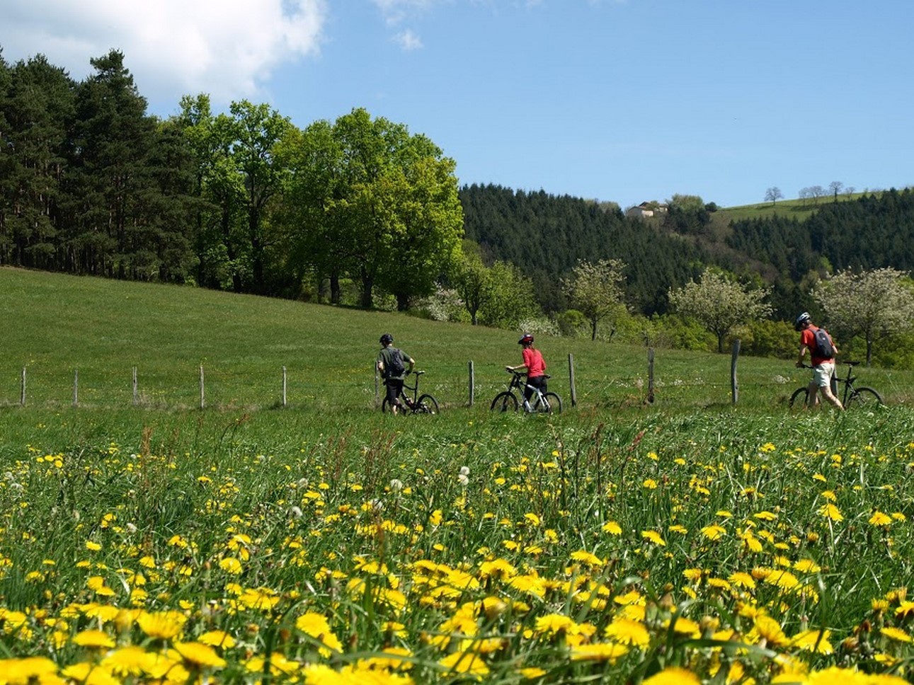 Puy de Dôme (63): Balade à Vélo et Paysages Magnifiques