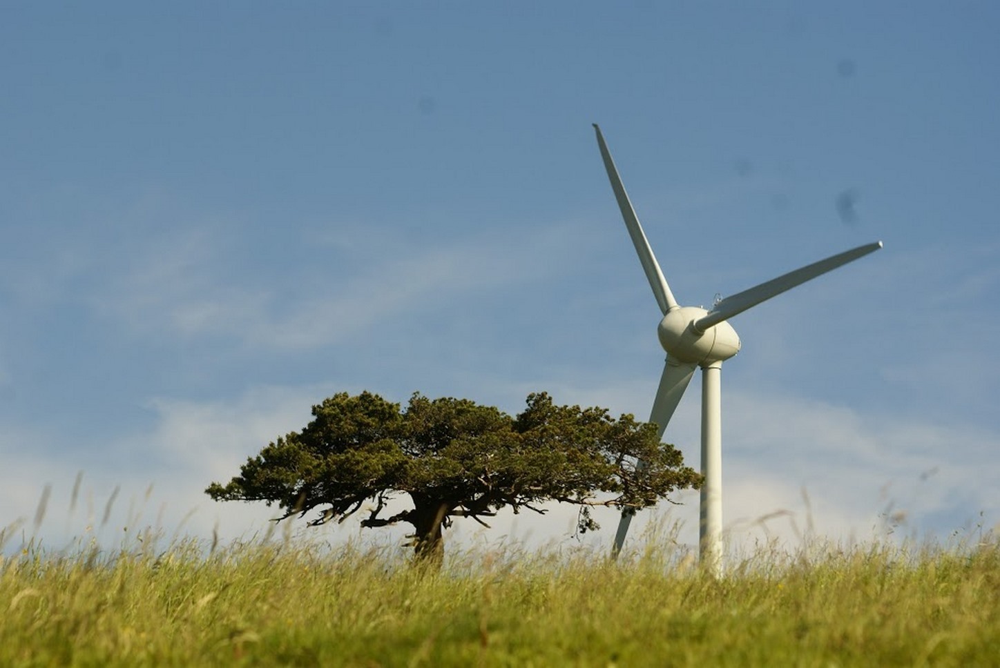 Puy de Dôme (63): Énergie Éolienne - Hélices et Paysages