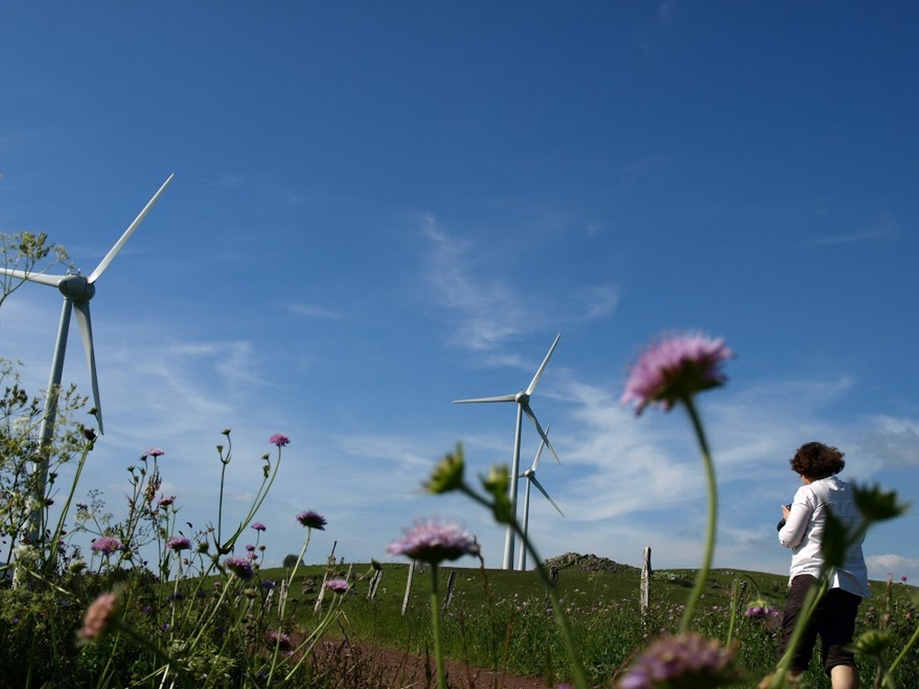 Puy de Dôme (63) : Energie Éolienne et Paysages Verts