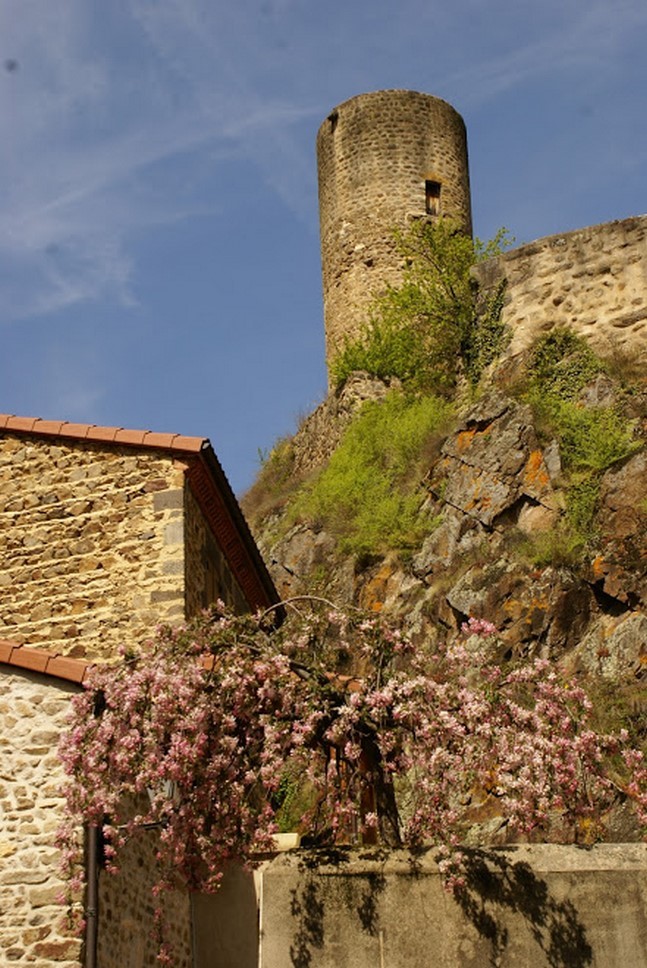 Puy de Dôme (63): Détail Architectural