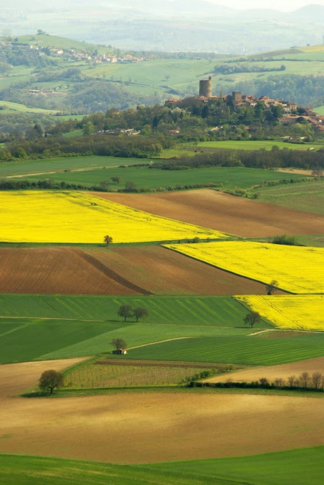 Puy de Dôme (63): Champs et Paysages d'Auvergne