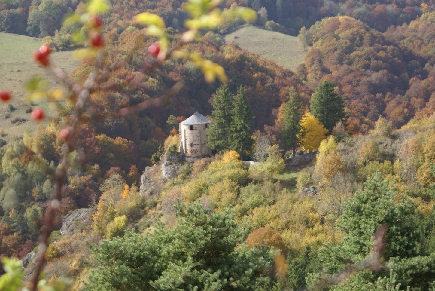 Puy de Dôme (63) : La Magie des Forêts d'Auvergne