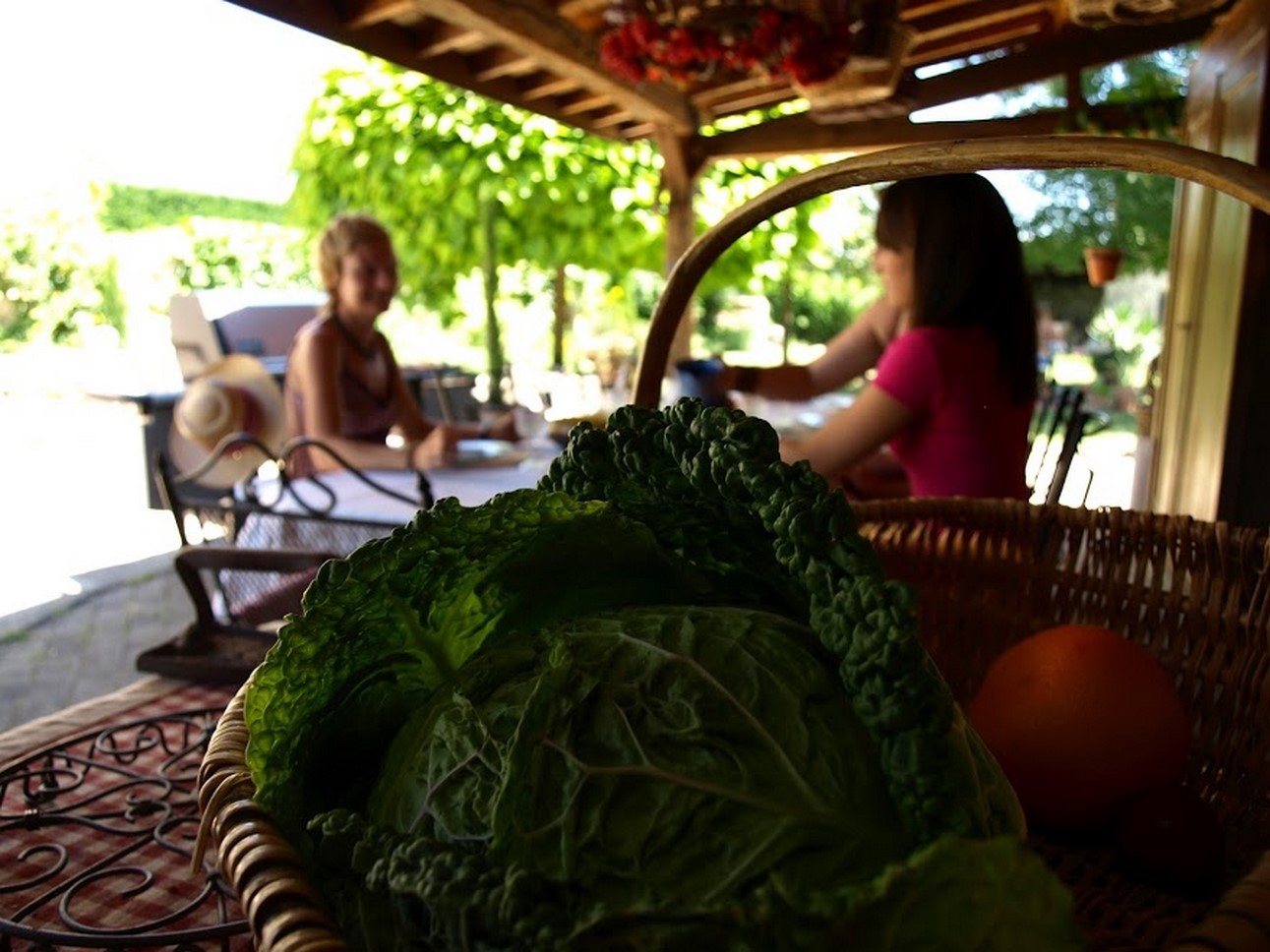 Puy de Dôme (63): Délices de Saison - Légumes Frais des Restaurants