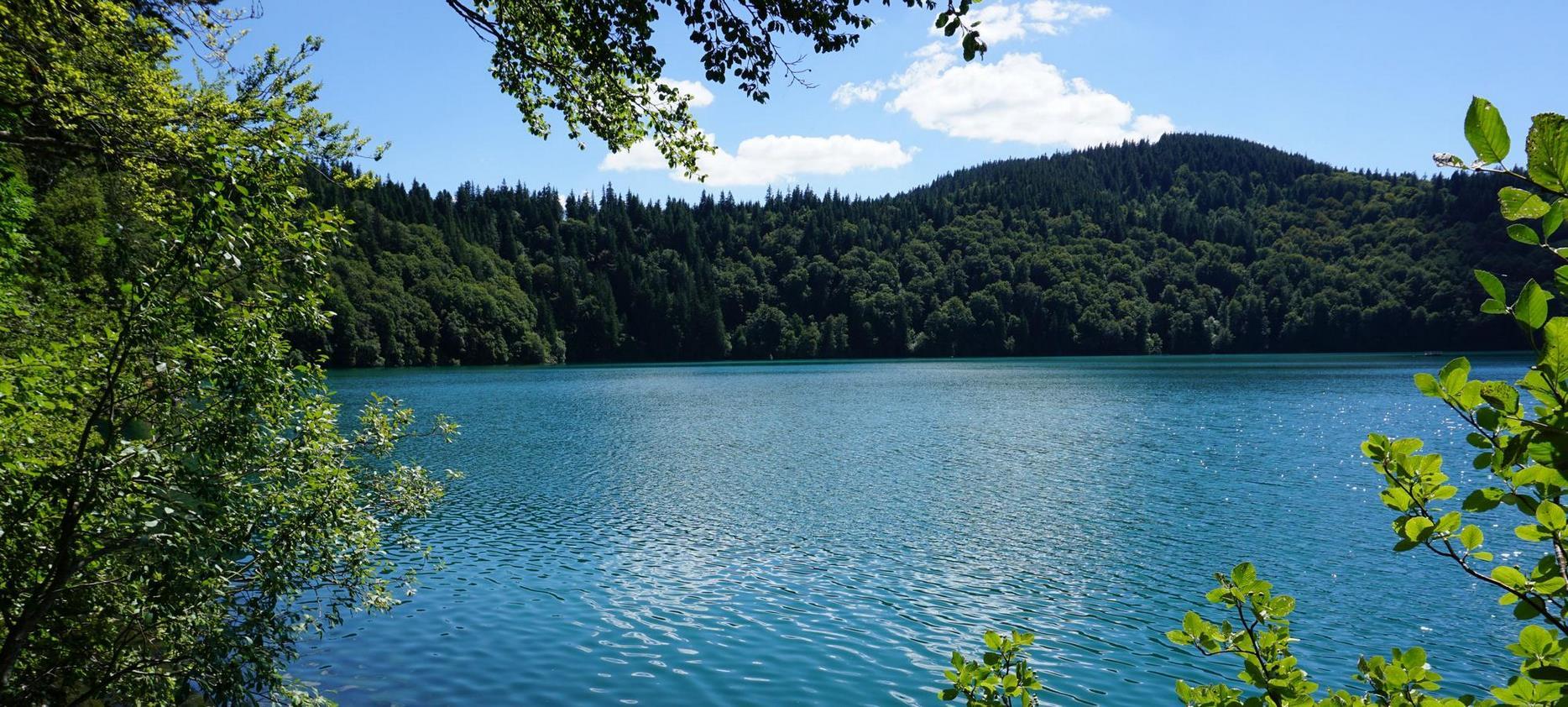 Lac Chambon : Un Joyau Naturel du Puy-de-Dôme en Auvergne