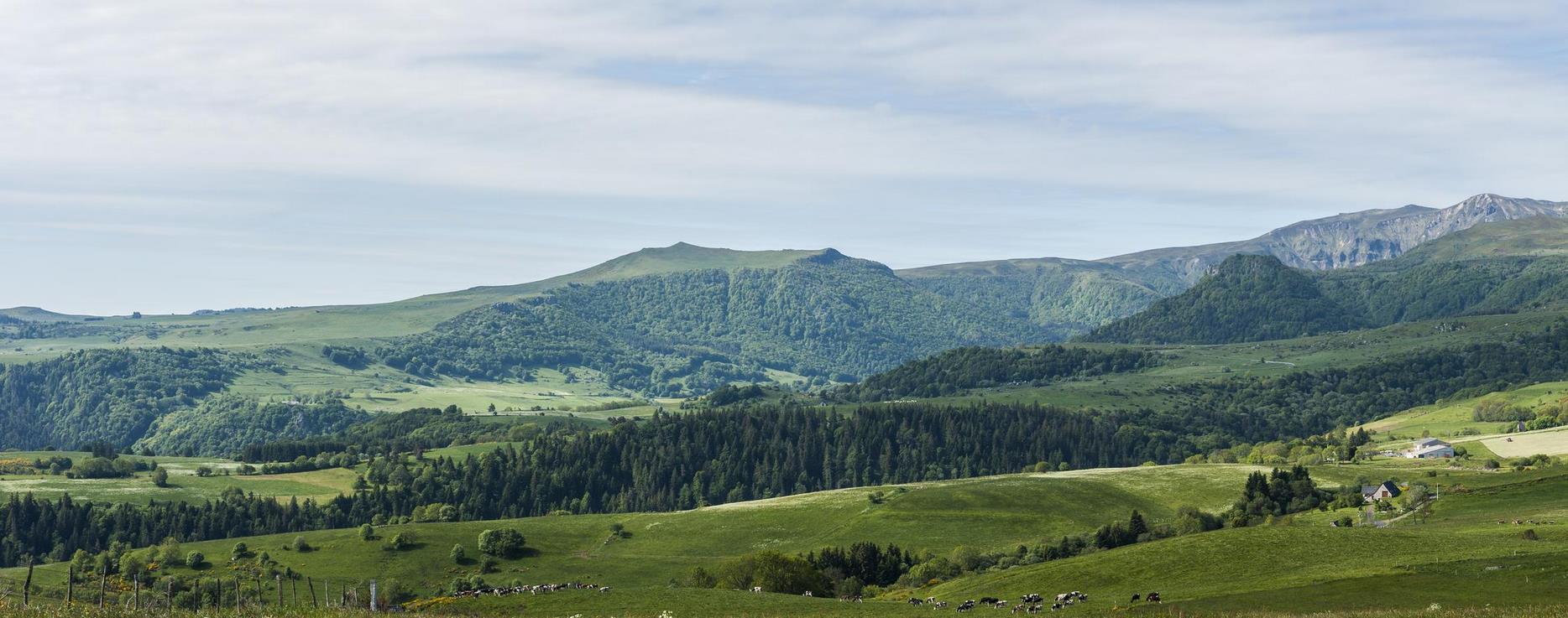 Massif du Sancy : Vue Panoramique sur les Sommets Emblématiques