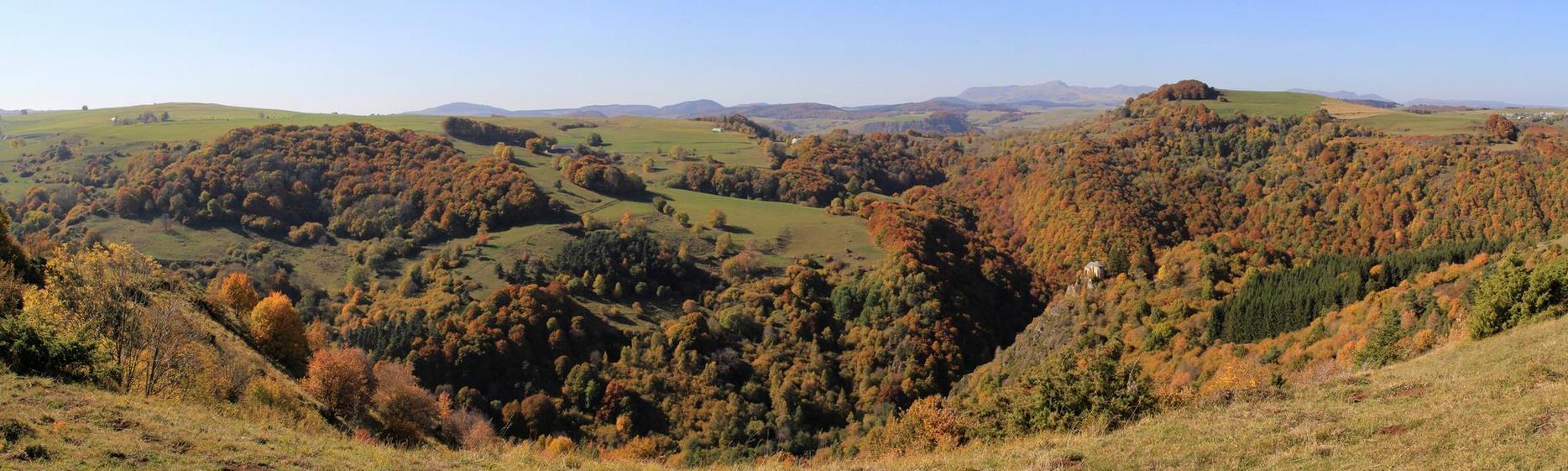 Forêts du Massif du Sancy : Richesses Naturelles, Balade et Promenade