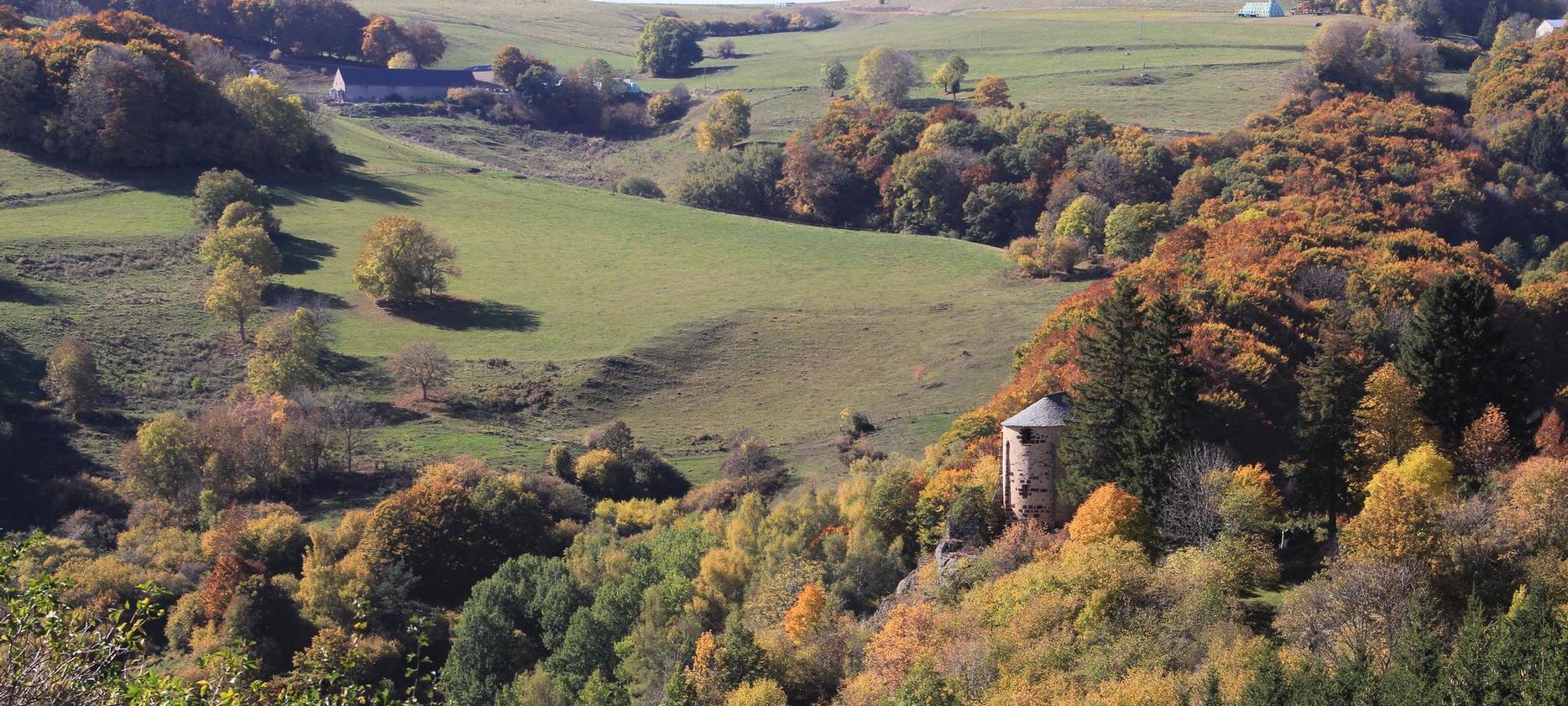 L'Auvergne : Paysages Pittoresques, Découverte Authentique