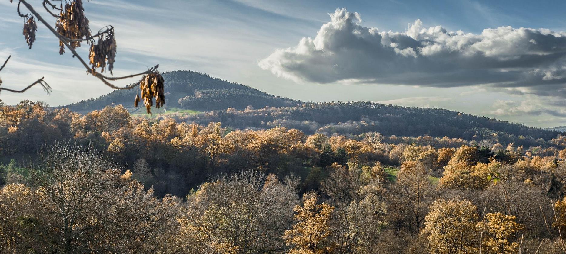 Chaîne des Puys : Trésor Volcanaïque d'Auvergne, Un Paysage Unique