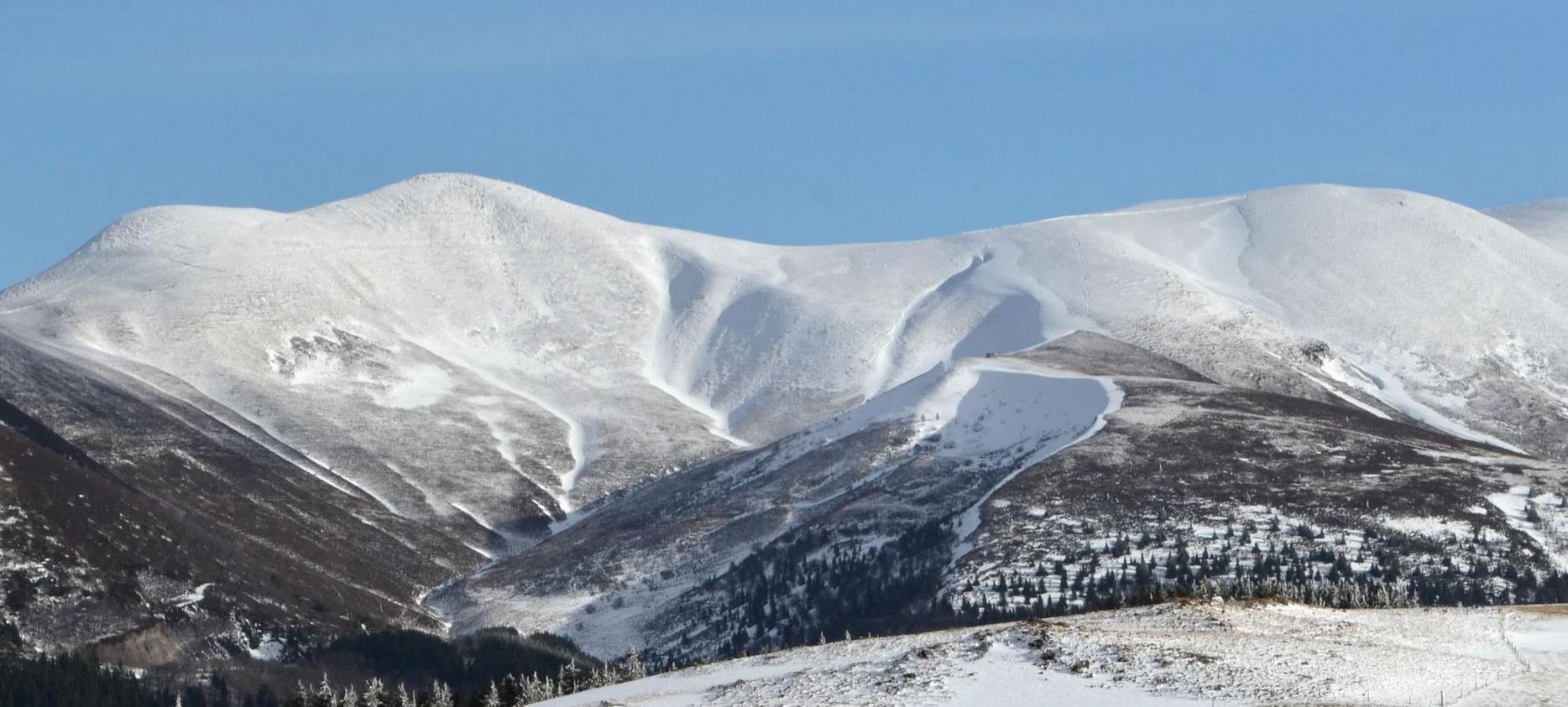 Massif du Sancy : Montagnes Enneigées, Forêt, Un Paysage D'Exception