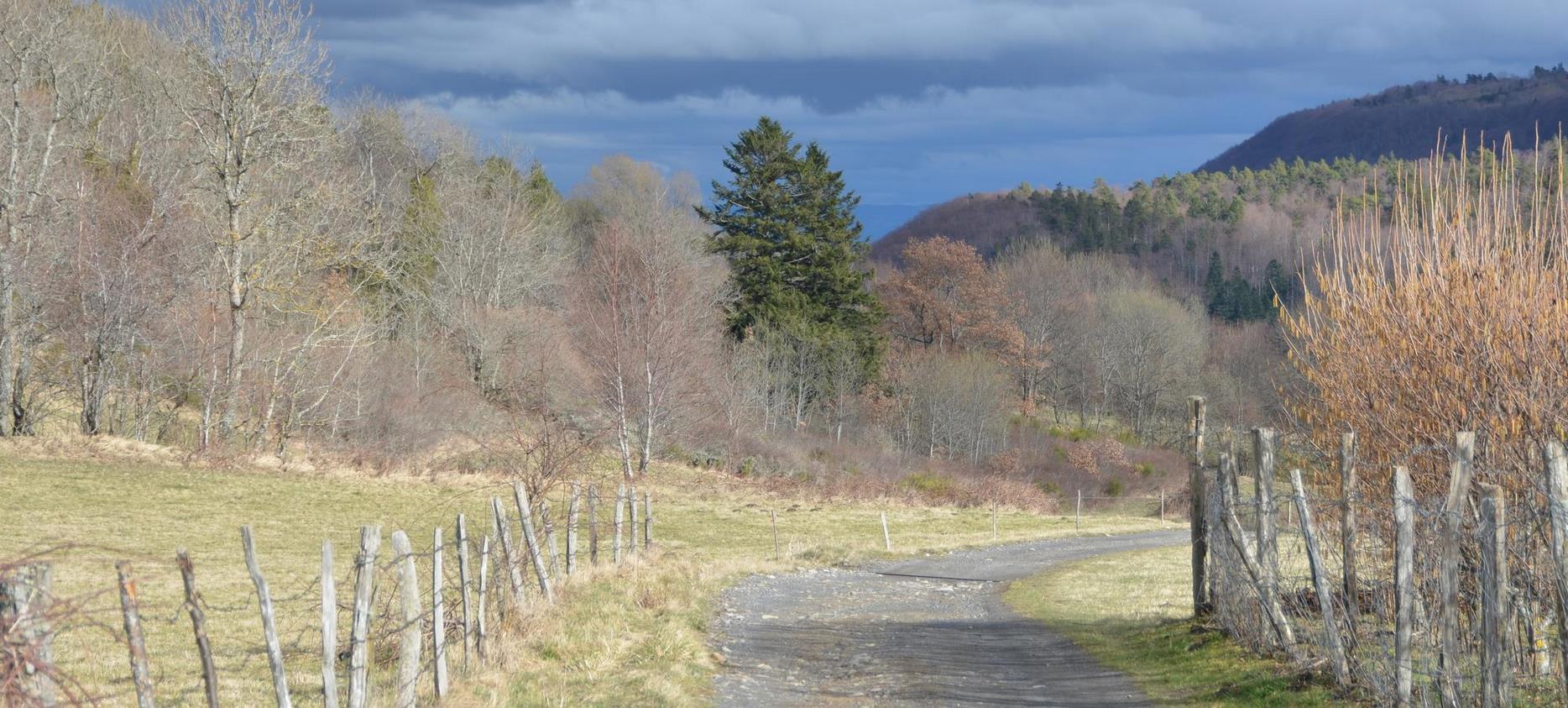 la Campagne auvergante dans le Puy de Dôme