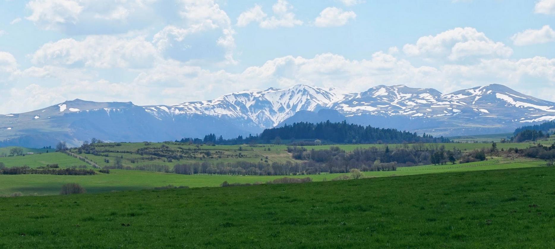 Sancy : Printemps Enchanté - Réveil de la Nature sous le soleil