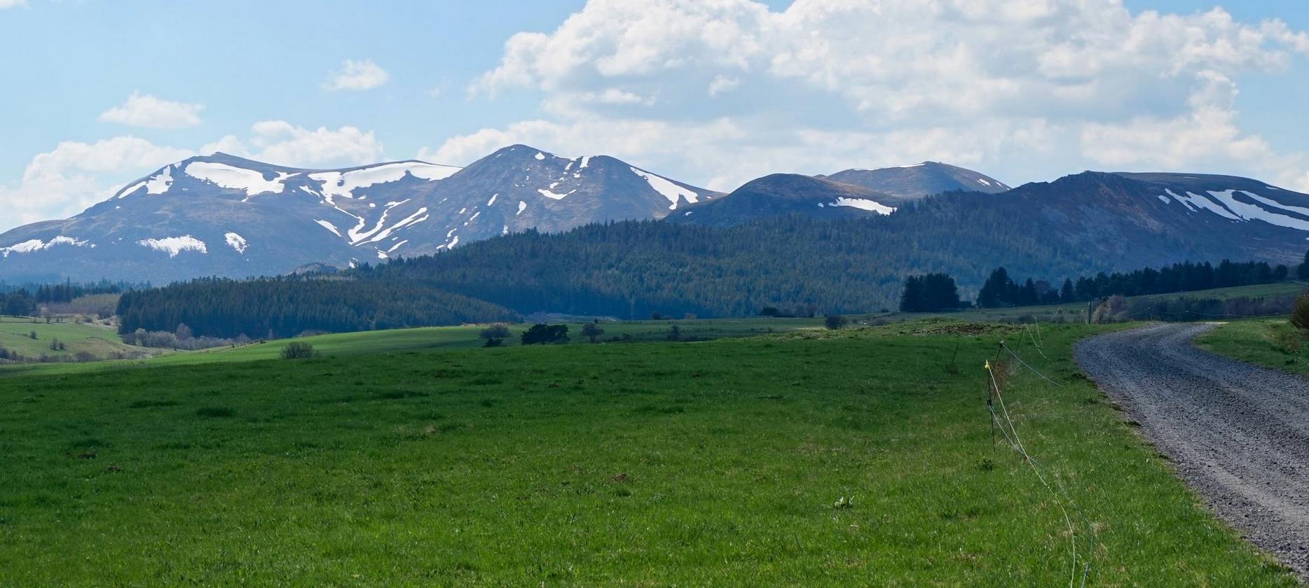 Sancy : Printemps Ravivant - La Nature se Réveille