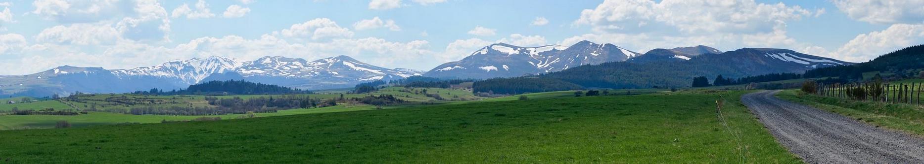 Sancy : Printemps Magique - Nature Revitalisée et Couleurs Vives