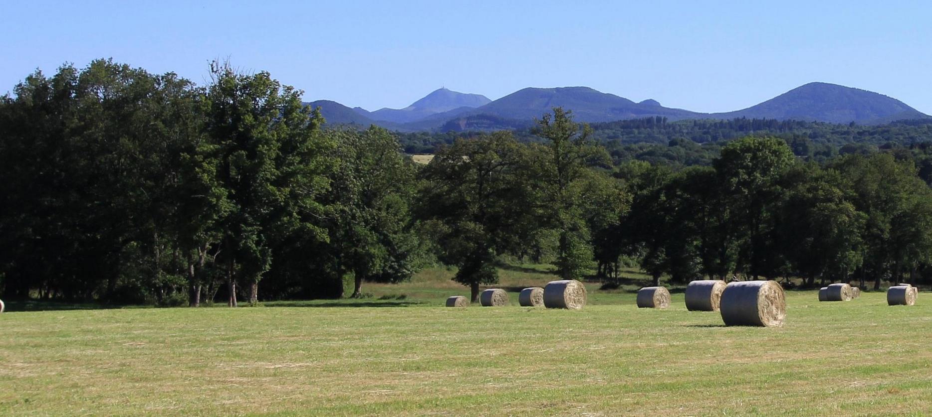 Sancy : Été Radieux - Soleil et Nature Exubérante