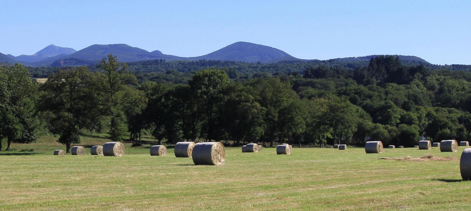 Sancy : Été Radiant - Balade Sous le Soleil