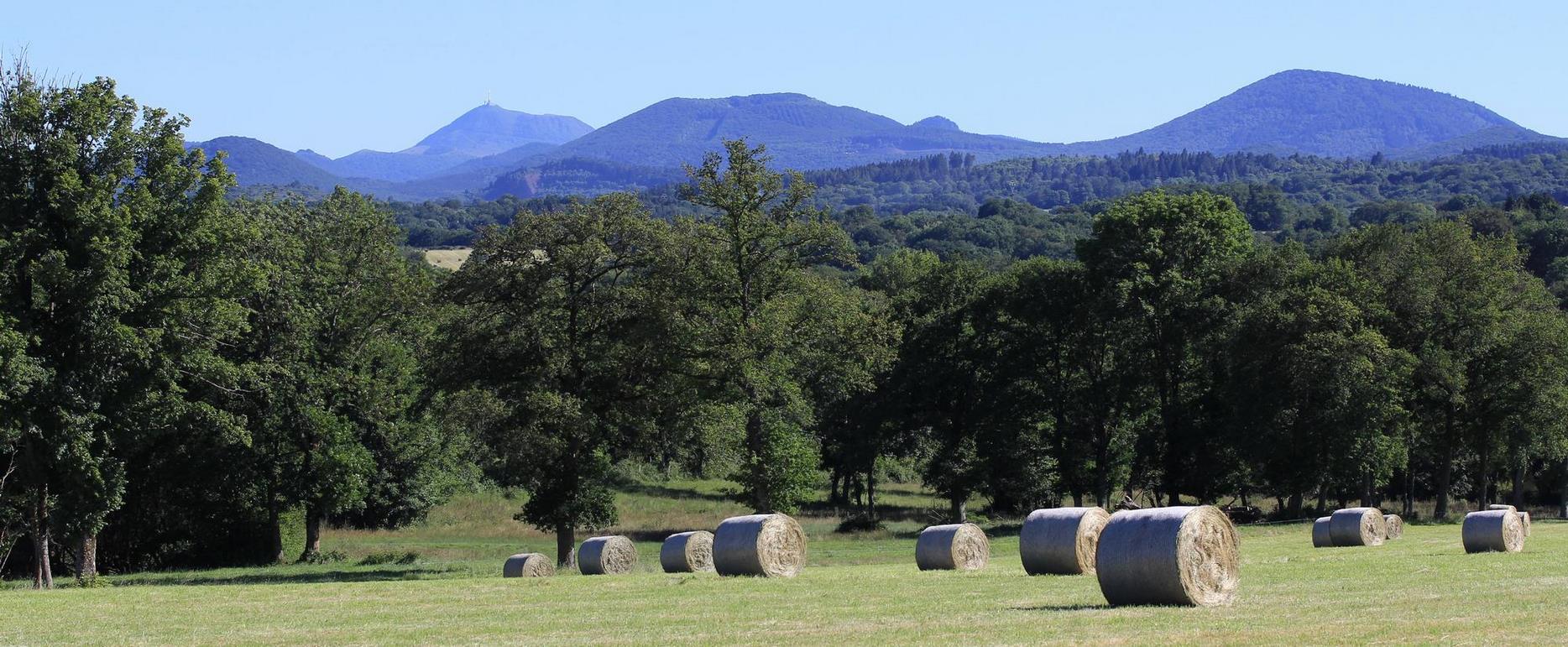 Chaîne des Puys : Vue Panoramique depuis la Campagne du Puy-de-Dôme, Nature Exubérante et Paysages Grandioses