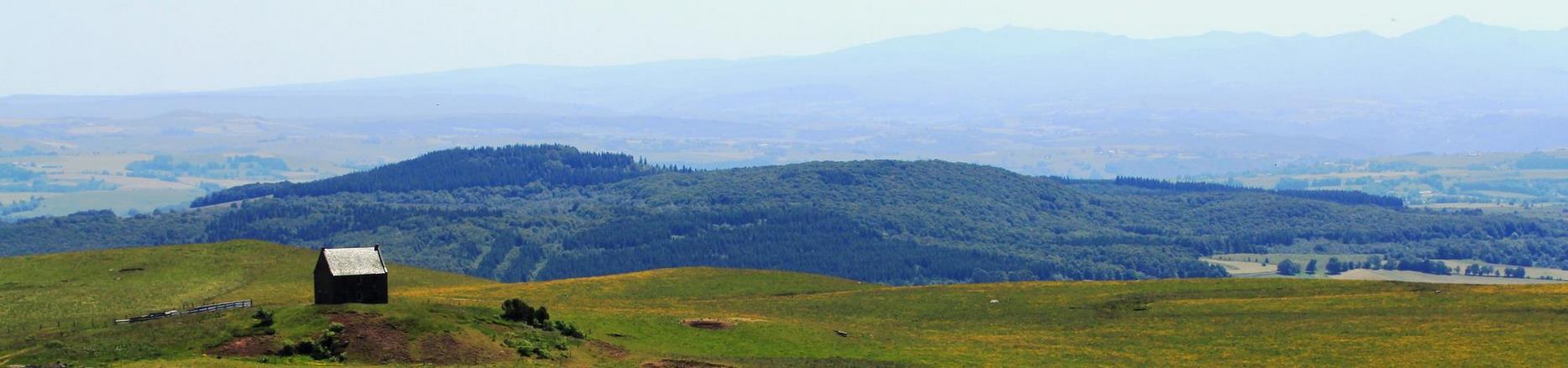 Sancy : Été en Montagne, Petite Cabane Rustique et Nature Exubérante