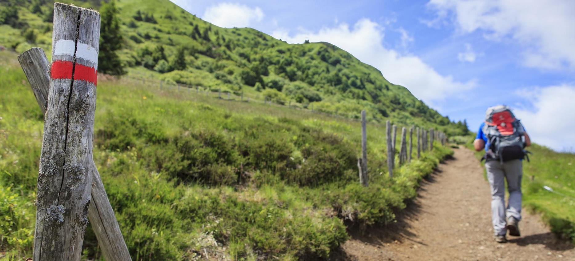 Puy-de-Dôme : Randonnées Splendides, Découverte de la Nature et des Paysages Magnifiques