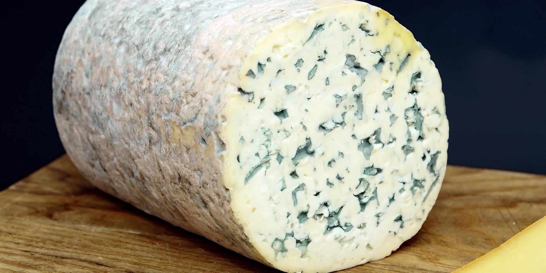 Fourme d'Ambert AOP : Un Fromage Bleu d'Auvergne d'Exception