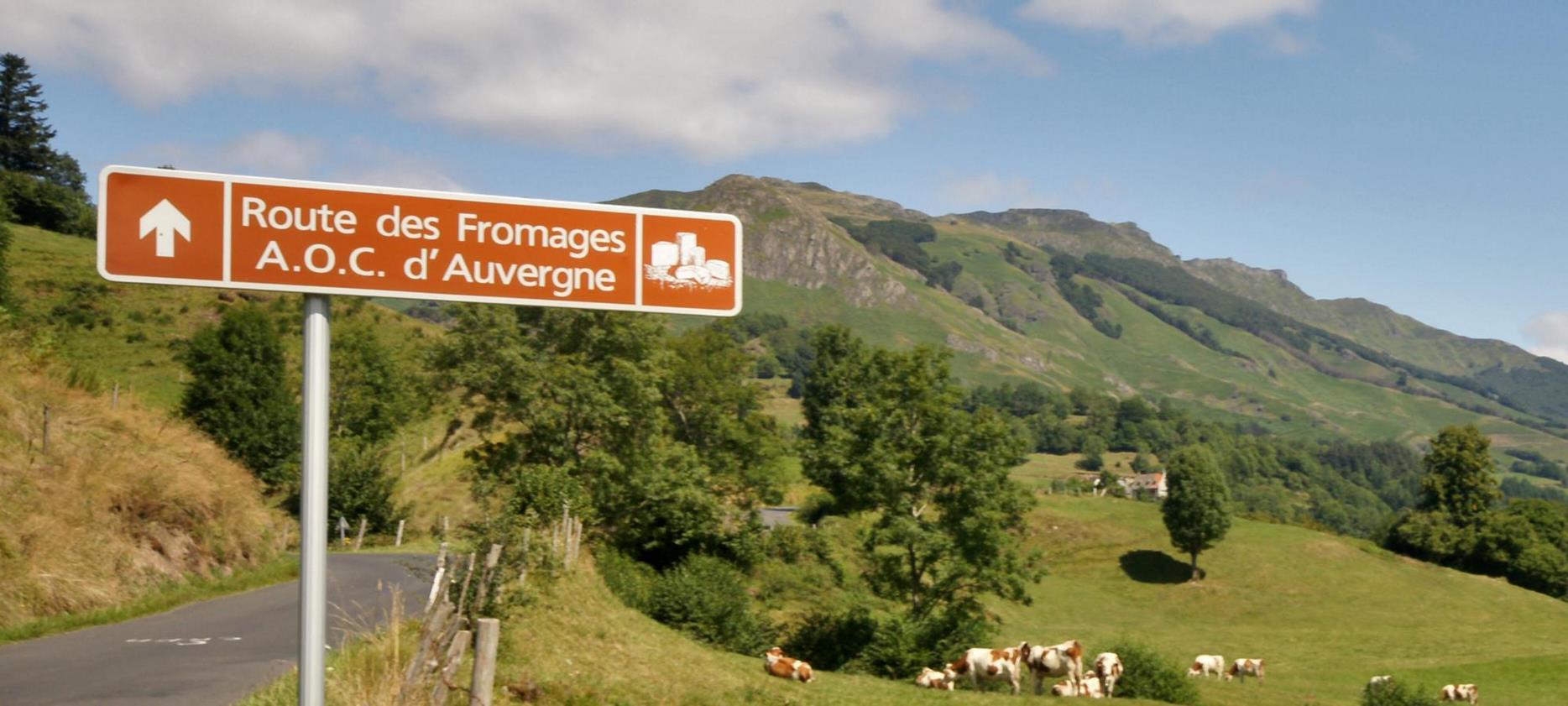 Route des Fromages d'Auvergne : Un Voyage Gourmand