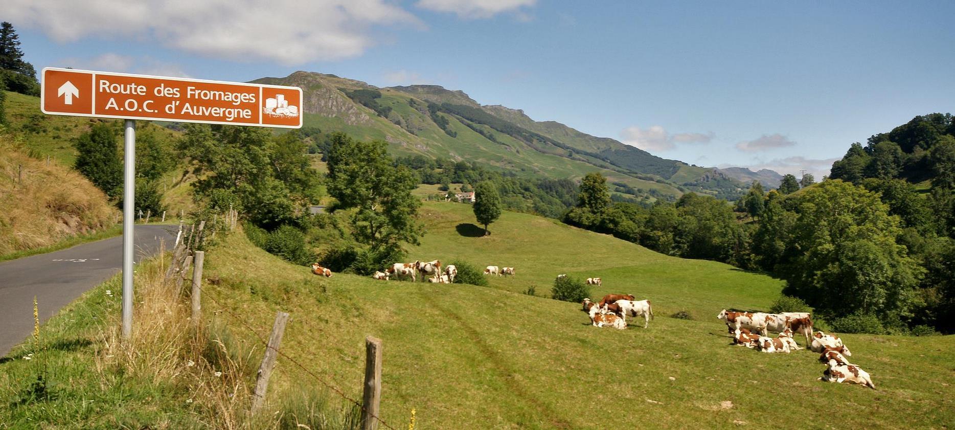 Route des Fromages d'Auvergne - Destination : Mont Dore