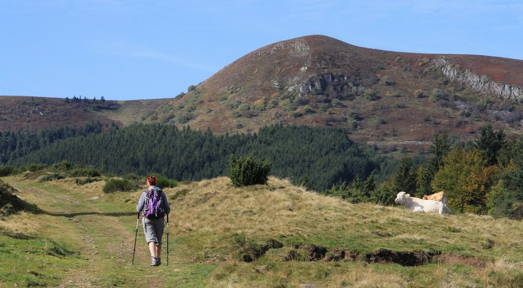 Parc Naturel du Sancy - Randonneur - Découverte & Dépaysement Exceptionnels