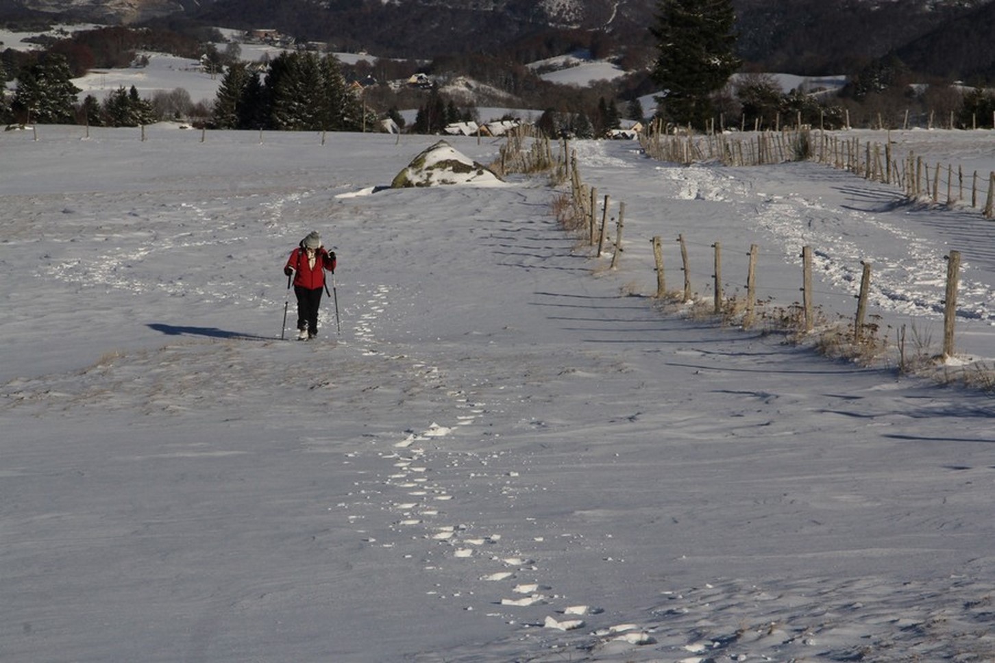 Massif du Sancy - Balade en Raquettes - Découverte & Dépaysement Exceptionnels