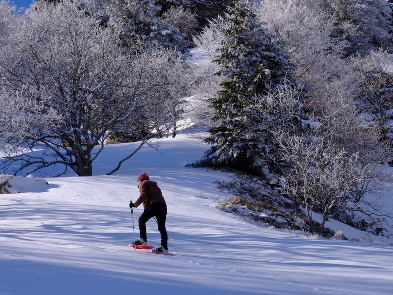 Sancy - Raquettes Sous la Neige - Découverte & Magie Exceptionnels