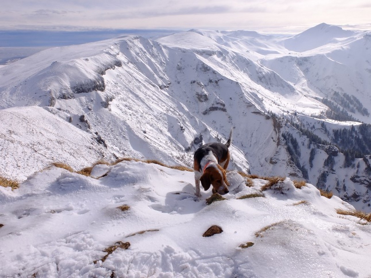 Massif du Sancy - Val de Courre - Randonnée Mont Dore - Découverte & Dépaysement Exceptionnels