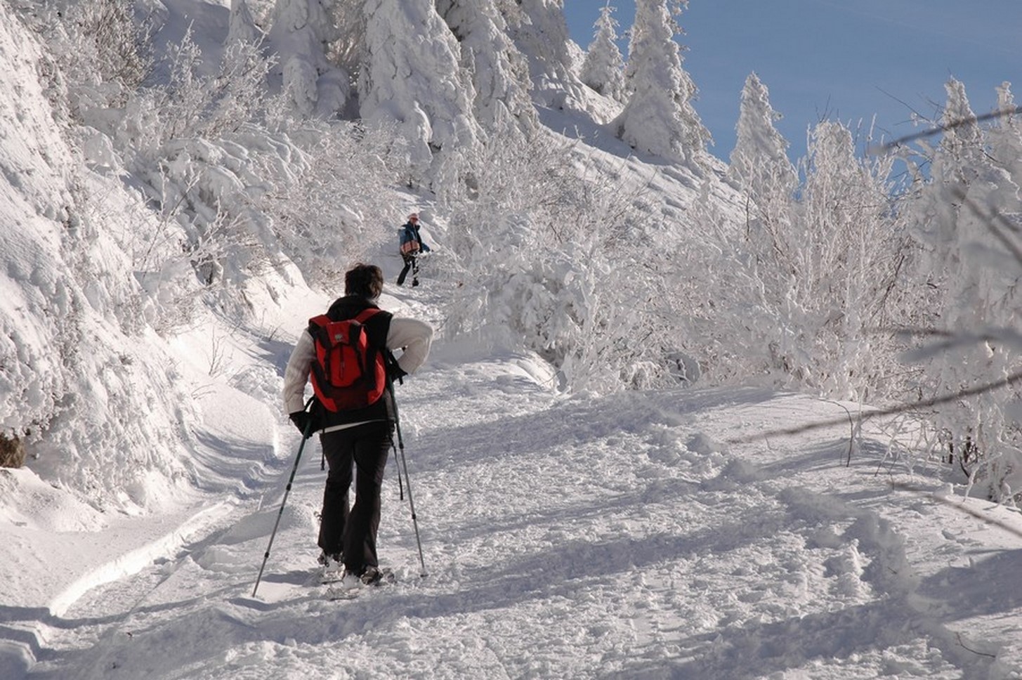 Puy de Dôme - Randonnée en Raquettes Sous la Neige - Expérience Magique & Vues Exceptionnelles