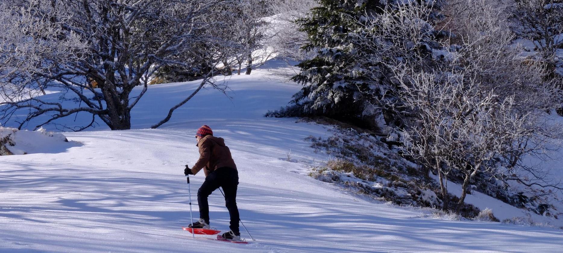 Super Besse - Randonnée Raquettes Sancy - Aventure Hiver