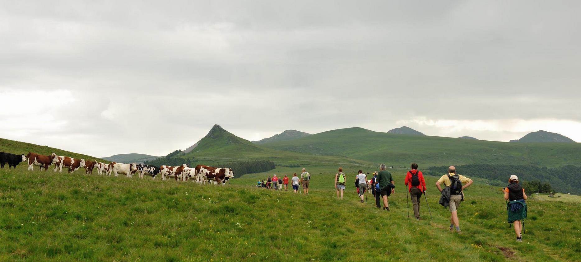 Super Besse - Randonnée Estives Parc Naturel du Sancy - Découverte Naturelle