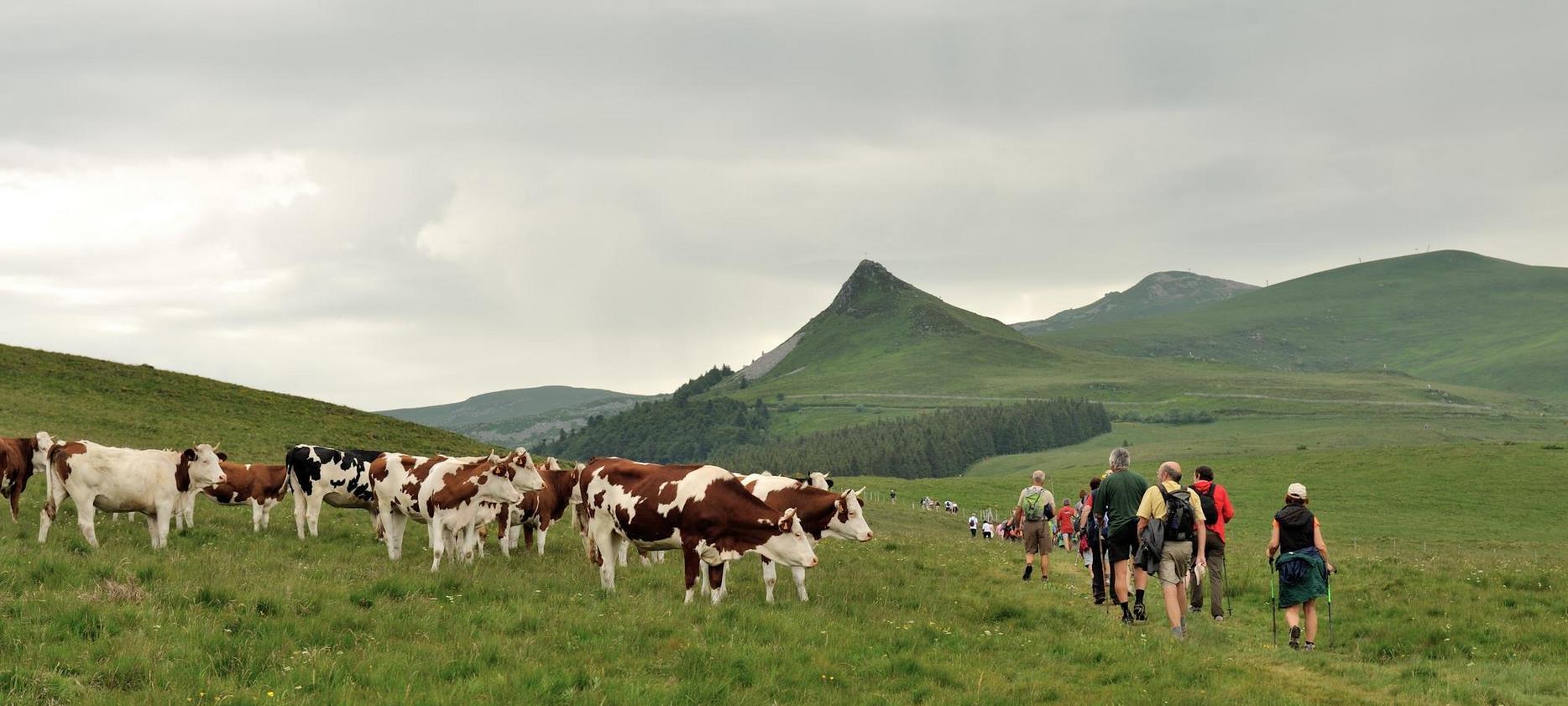 Super Besse - Randonnée Estives Parc Naturel du Sancy - Découverte Naturelle