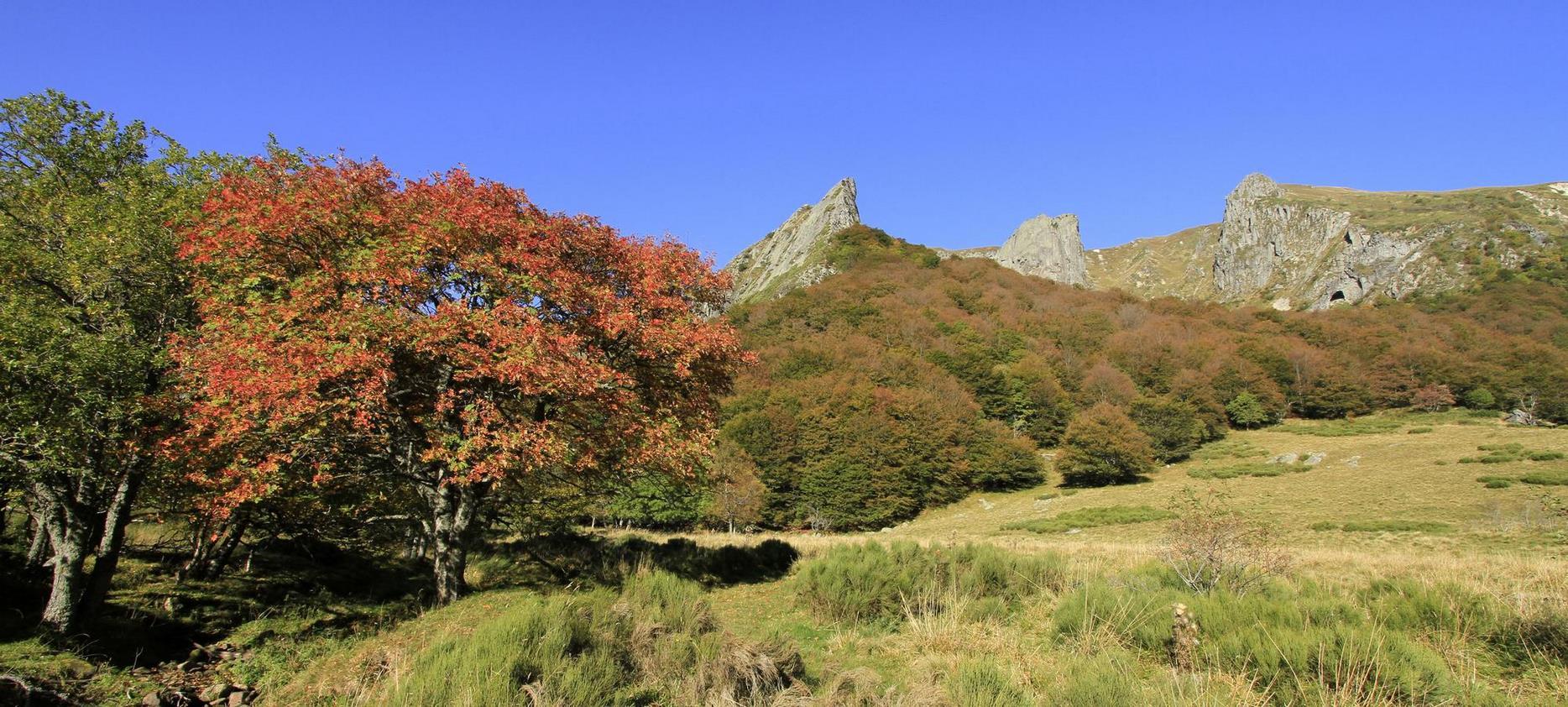 Super Besse : Explorer le Parc Naturel de la Vallée de Chaudefour