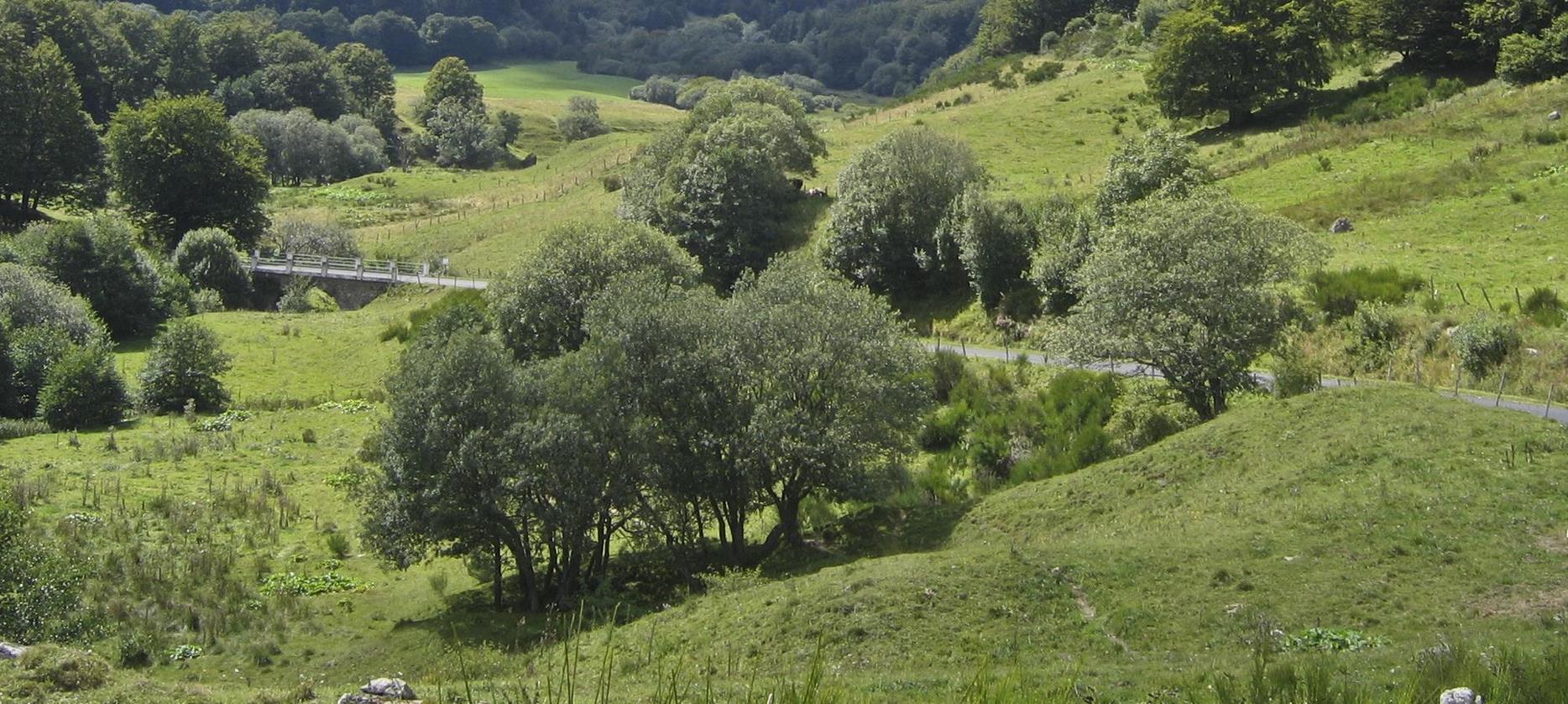 Super Besse - Découverte du Chemin de Randonnée de la Vallée de Chaudefour 