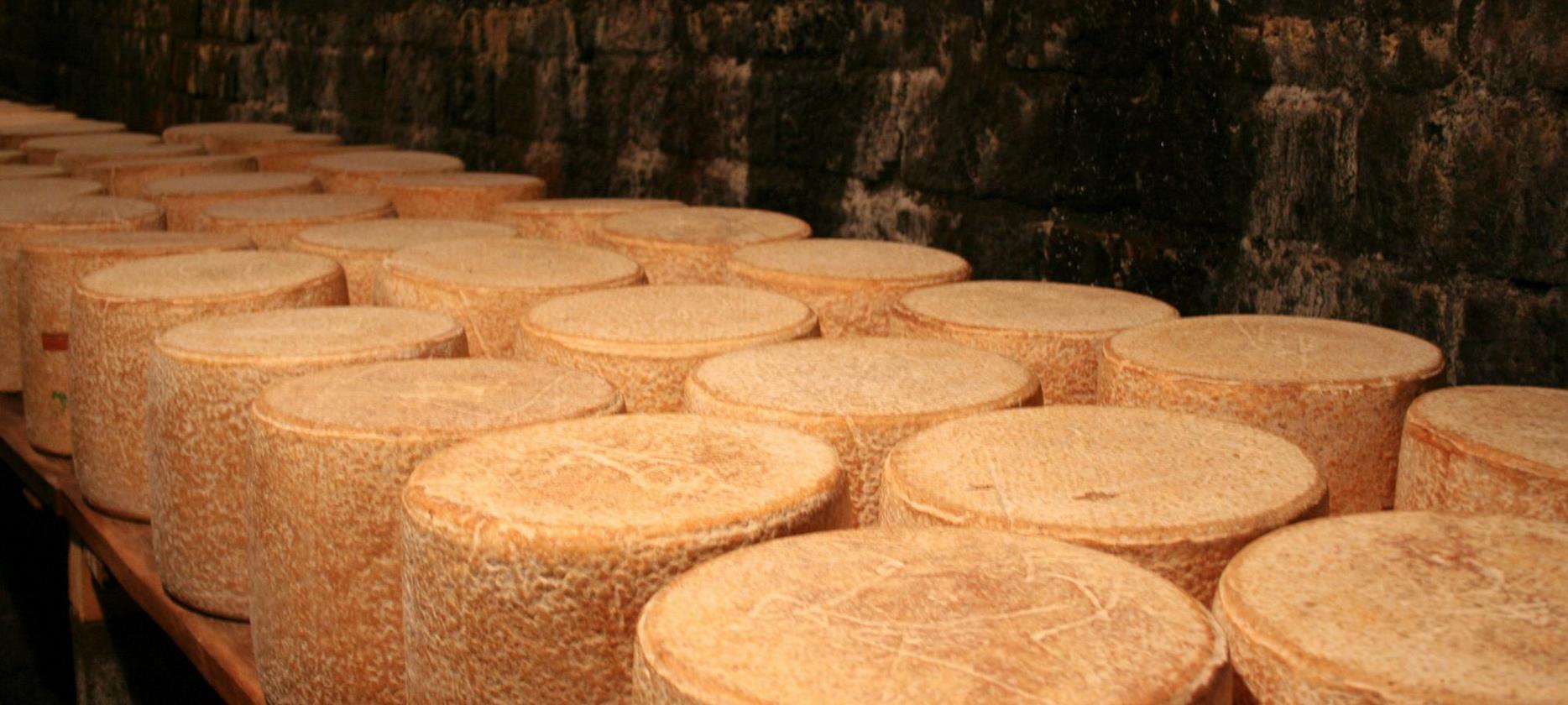 Cantal : Découverte des Caves d'Affinage, Savoir-Faire Traditionnel d'Auvergne