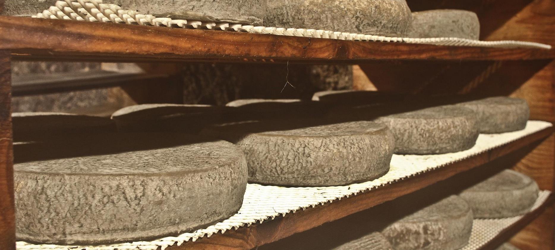 Saint-Nectaire Fermier : Découverte des Caves d'Affinage, Savoir-Faire Traditionnel d'Auvergne