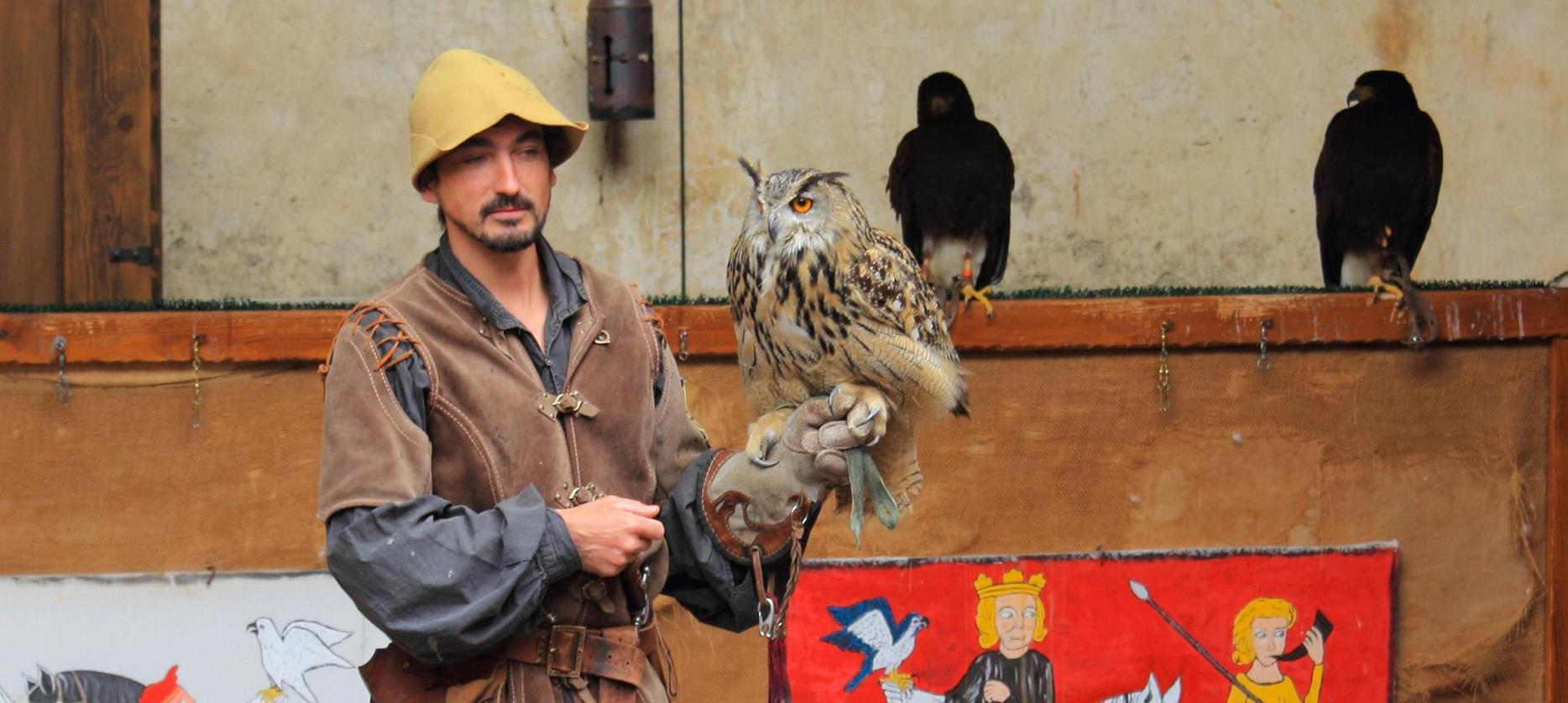 Château de Murol : Spectacle de Fauconnerie Envoûtant