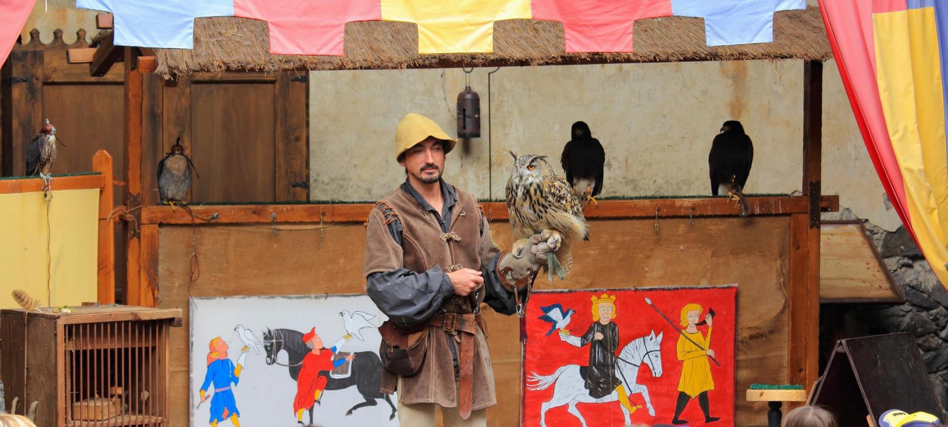 Super Besse : Spectacle de fauconnerie au Château de Murol.