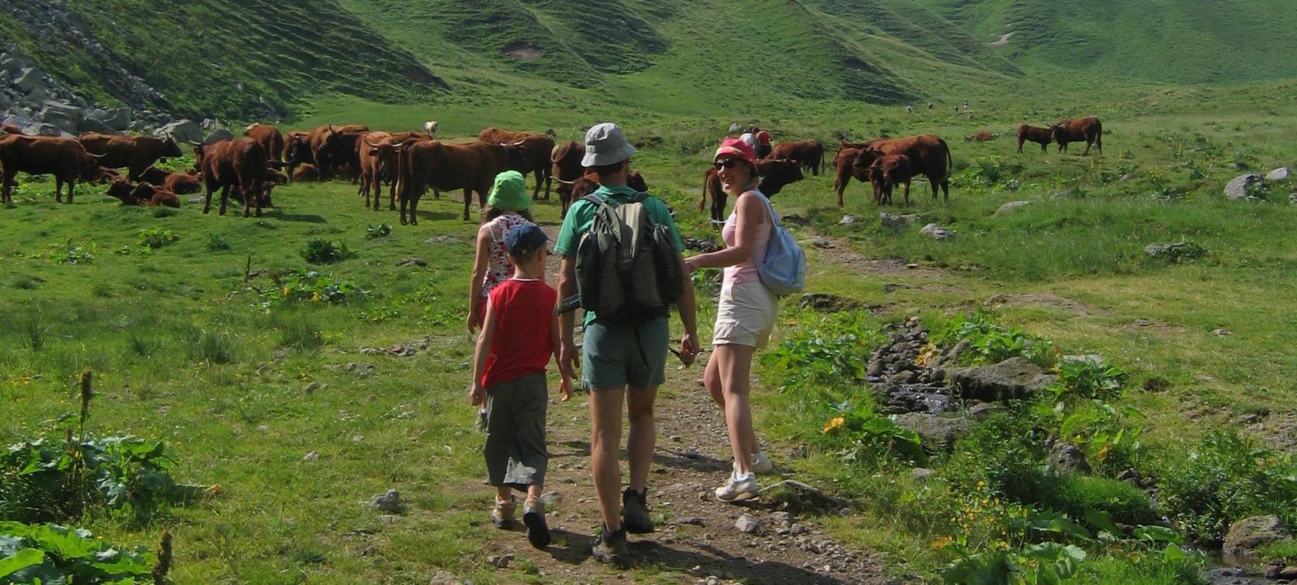 Super Besse - Aventure en Famille : Découverte de la Faune et la Flore du Mont Dore 