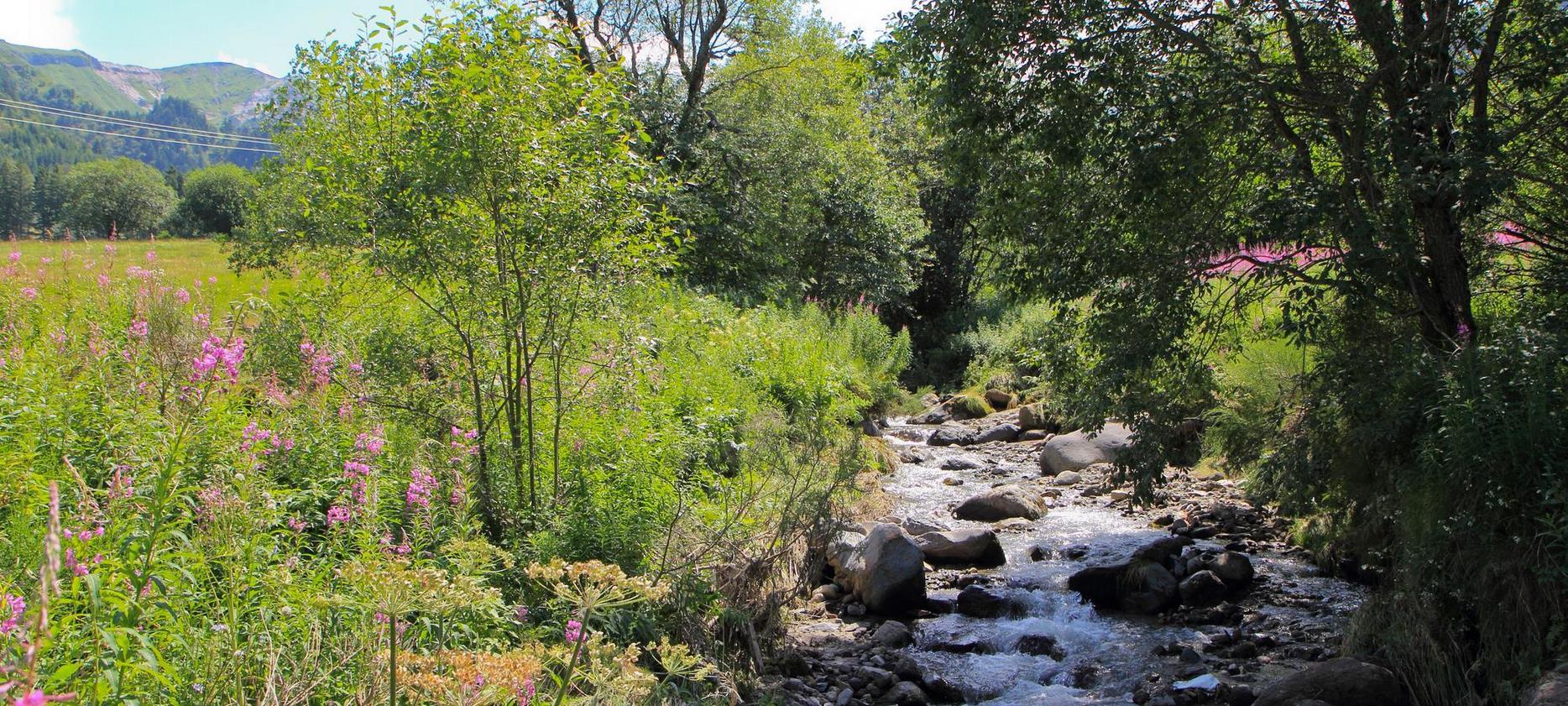 Super Besse : La Dordogne au Mont-Dore, Source d'Émerveillement