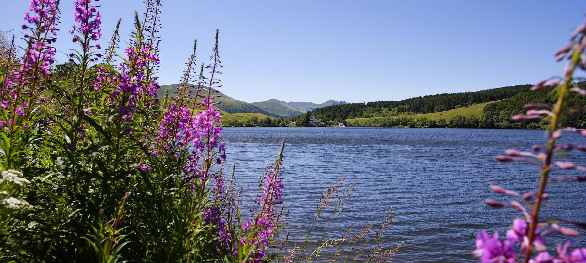 Massif du Sancy : Le Lac de Guéry, un Joyau Naturel