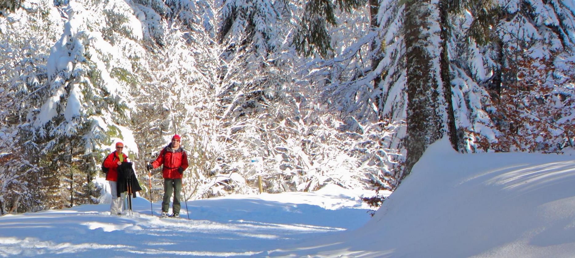 Massif du Sancy : Promenade en Raquettes au Mont-Dore