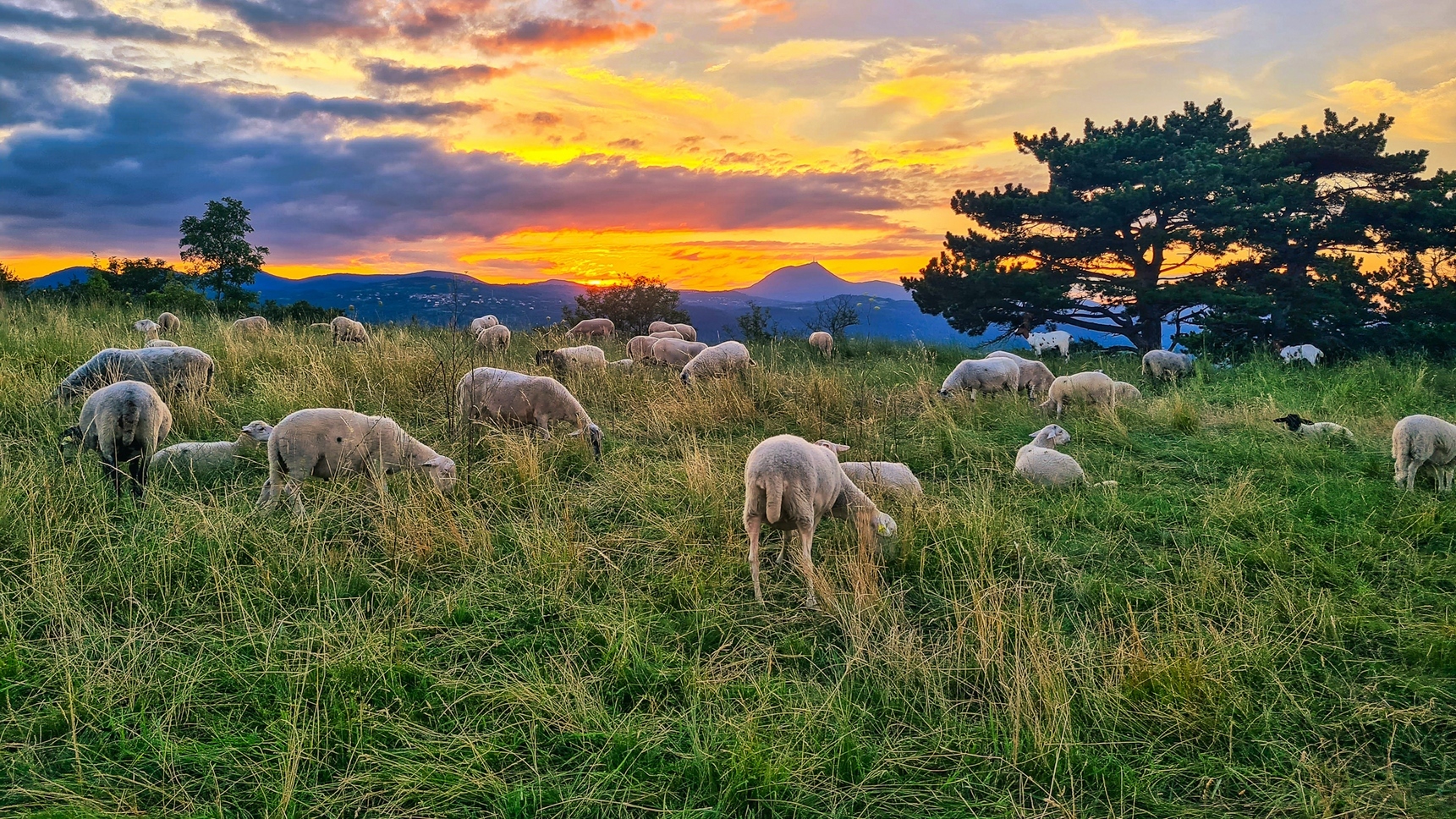 Plateau de Gergovie - Coucher de Soleil - Chaîne des Puys & Puy de Dôme - Spectacle Magique