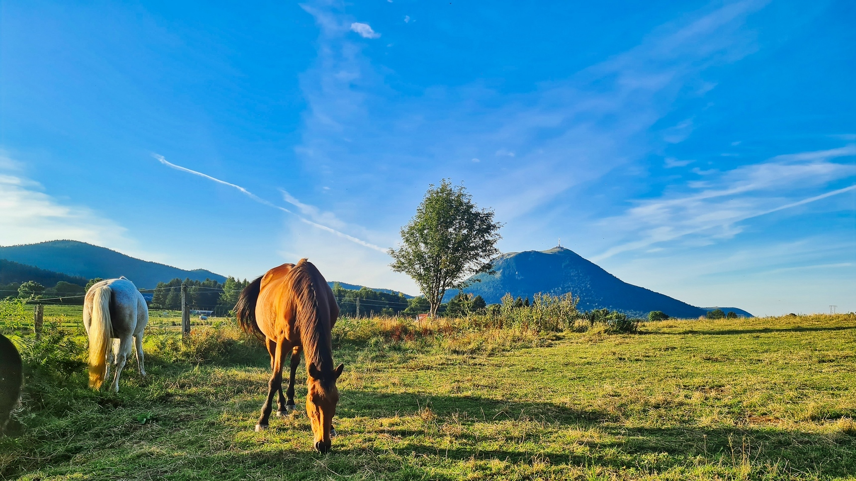 Campagne Auvergnate - Puy de Dôme Dominant - Paysages Magiques