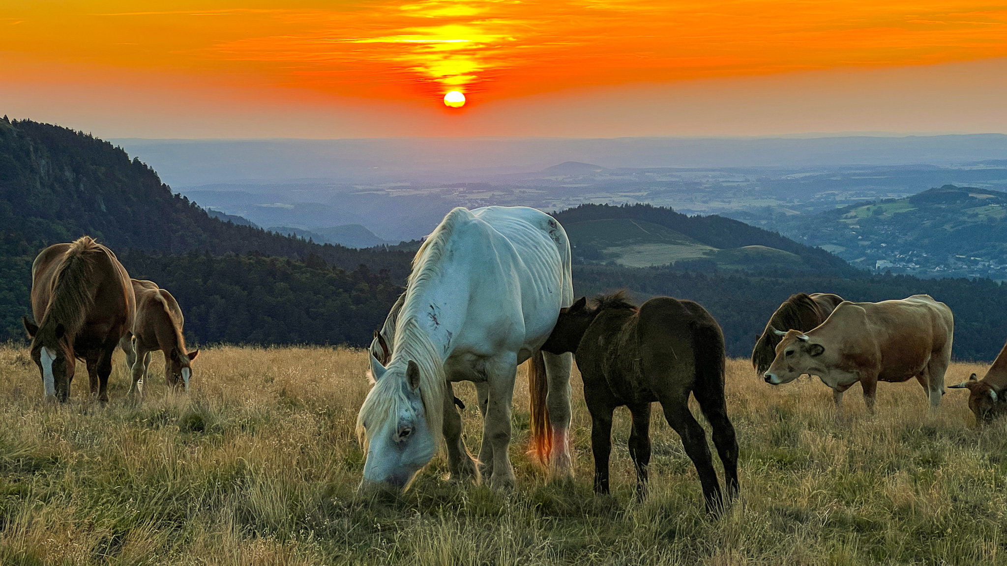 Puy du Capucin, coucher de soleil