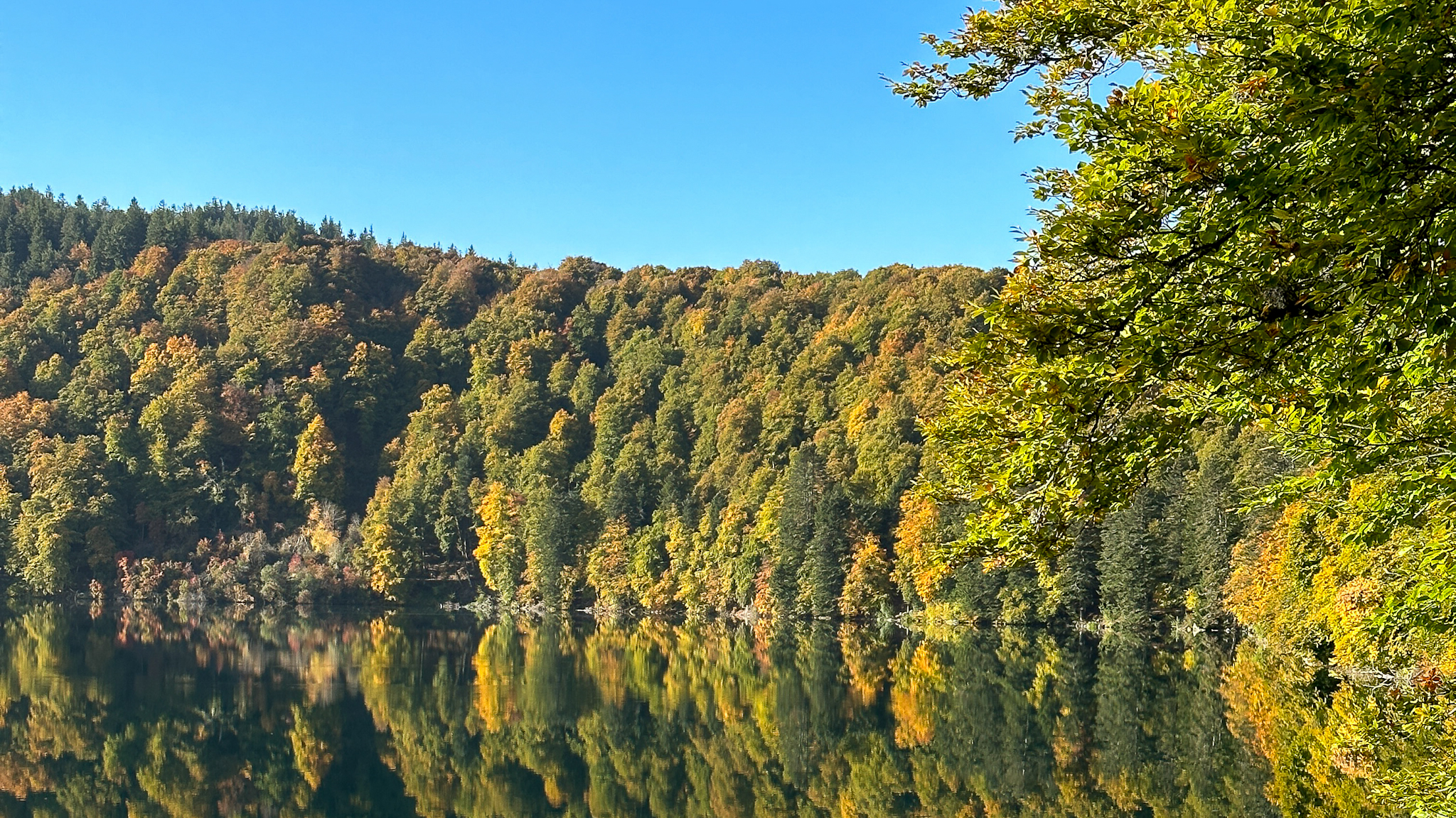 Lac Pavin : Arbres Habillés de Couleurs Automnales